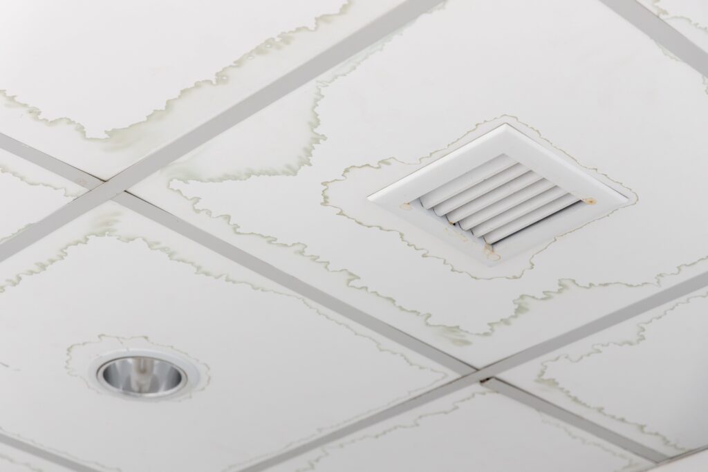Water damaged ceiling tiles representing 4 classes of water damage.