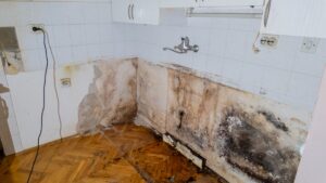 Kitchen wall with mold in need of mold remediation specialist