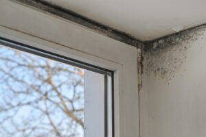 Black mold around window frame
