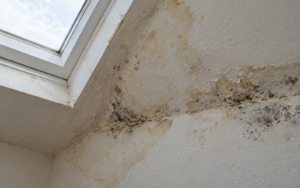 Mold growth, water stains, and peeling paint on a ceiling beside a skylight after a roof leak
